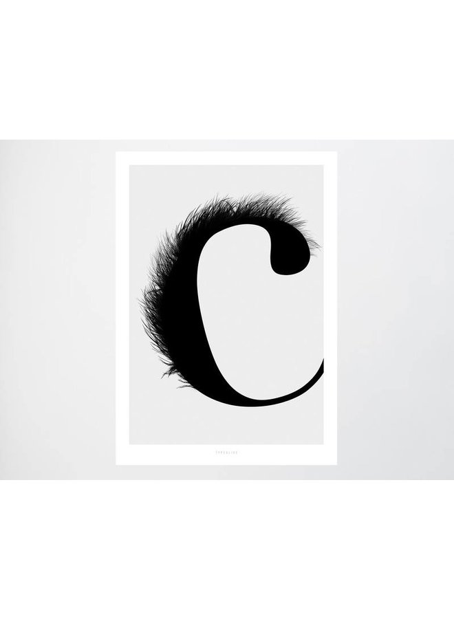 Poster "ABC Flying Letters - C" von typealive