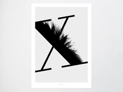 Artikel mit Schlagwort Poster Shop