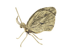 Artikel mit Schlagwort Goldener Schmetterling