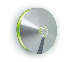 Ongedierte Vliegenvanger Aura