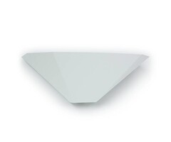 Ongedierte Vliegenvanger Cento