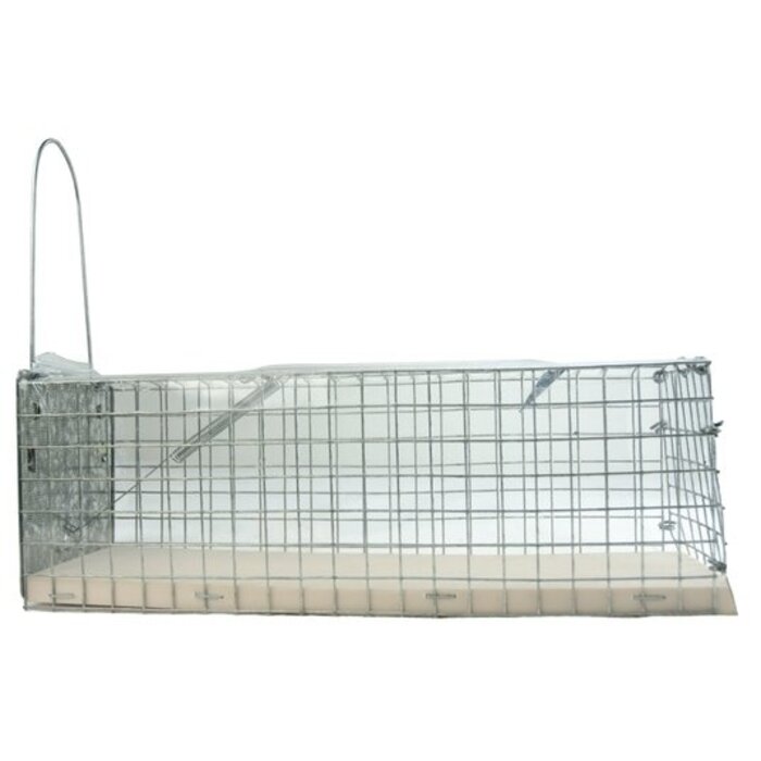 Ongedierte Inloopval Levend "Alive" (ratten) - bodem kunststof