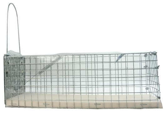 Ongedierte Inloopval Levend "Alive" (ratten) - bodem kunststof