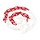 Afzetketting Rood/Wit 30 Meter