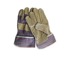 Varkens splitleer Amerikaantje