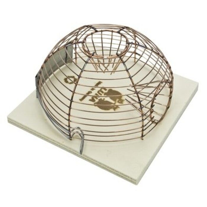 Ongedierte Muizenval Korf Levend "Luna" (muizen)