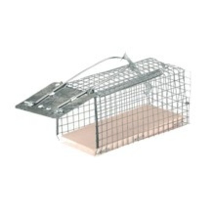 Ongedierte Inloopval Levend "Alive" (ratten) - bodem kunststof