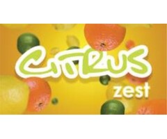 Hygiene Vision VisionAir - Maxi Citrus Zest