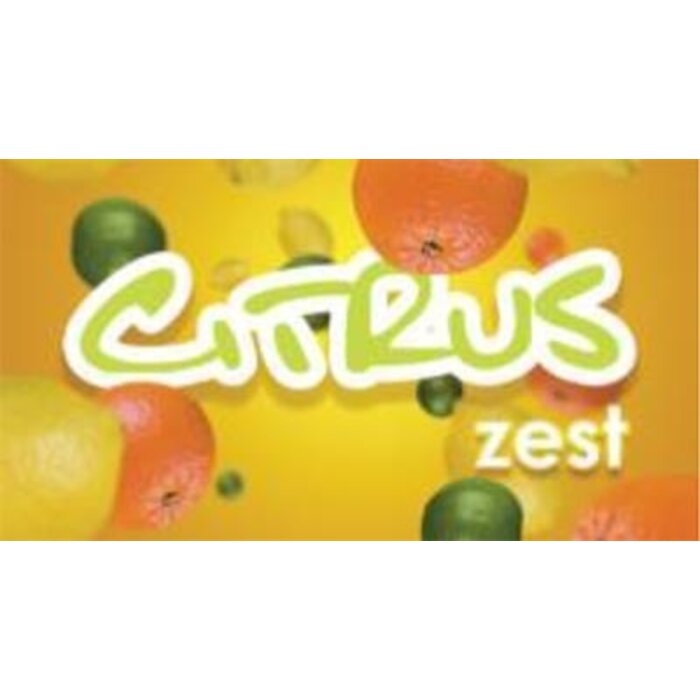 Hygiene Vision VisionAir - Maxi Citrus Zest