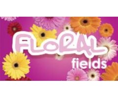 Hygiene Vision VisionAir - Maxi Floral Fields