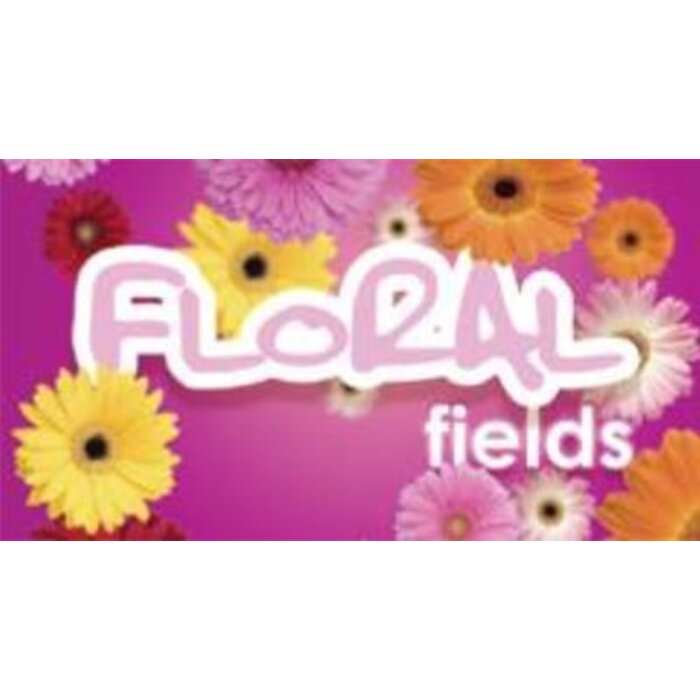 Hygiene Vision VisionAir - Maxi Floral Fields
