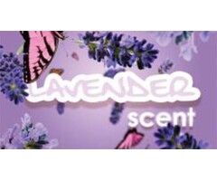 Hygiene Vision VisionAir - Maxi Lavender