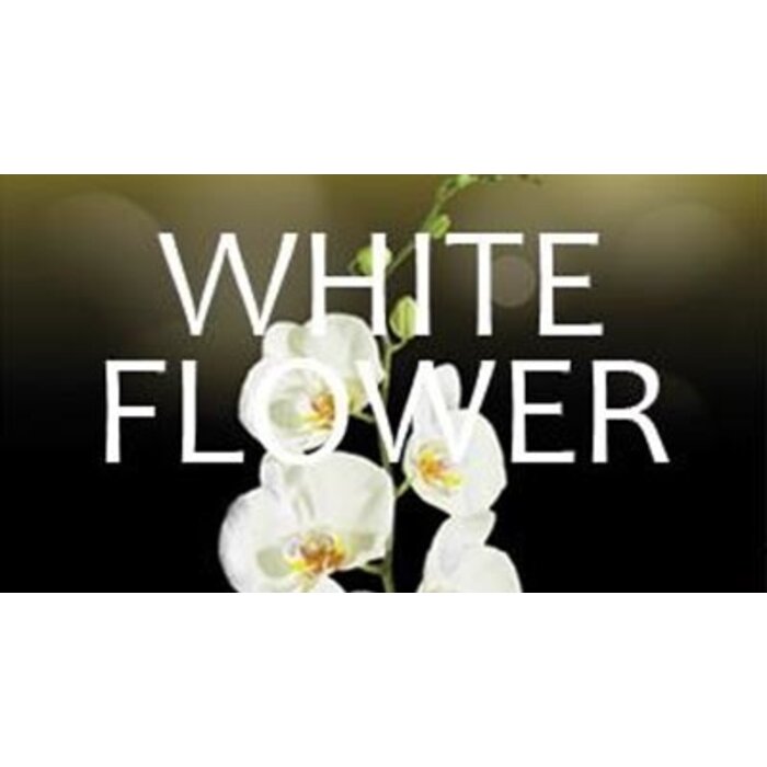 Hygiene Vision VisionAir - Maxi White Flower