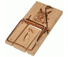 Luchs muizenval hout