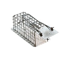 Edialux Large Muizenvangkooi met 1 ingang