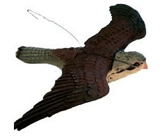 Edialux Kunststof valk - 1 stuk