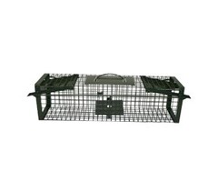 Hofman Doorloopval Levend Green - 60 centimeter