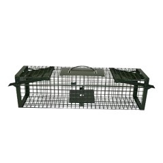 Hofman Doorloopval Levend Green - 60 centimeter