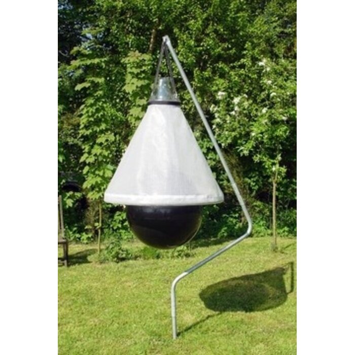 Hofman Dazenval Loer - Compleet