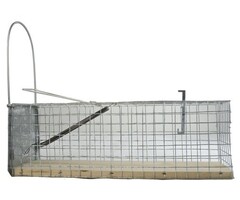 Ongedierte Inloopval Levend "Alive" (ratten)