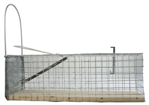 Ongedierte Inloopval Levend "Alive" (ratten) - bodem hout