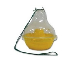 Edialux Wespen- en Vliegenval