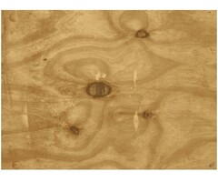 Tork Tork placemat 31x42cm Wood Look 5x500