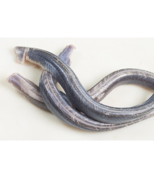 Barbecue en grill paling (schoongemaakt en gevild)