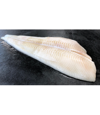 Heilbot filet