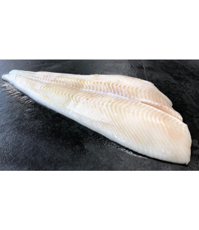 Heilbot filet Wild Premium