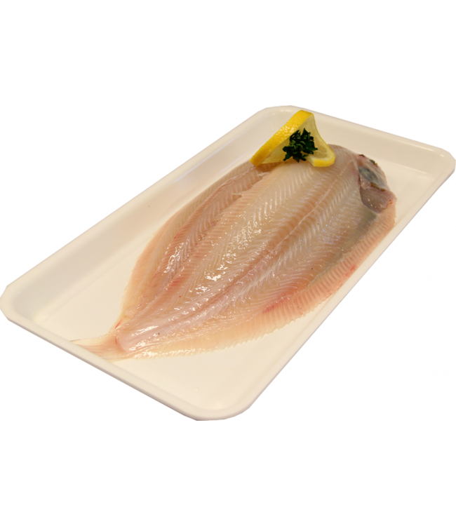 Sliptong zonder huid