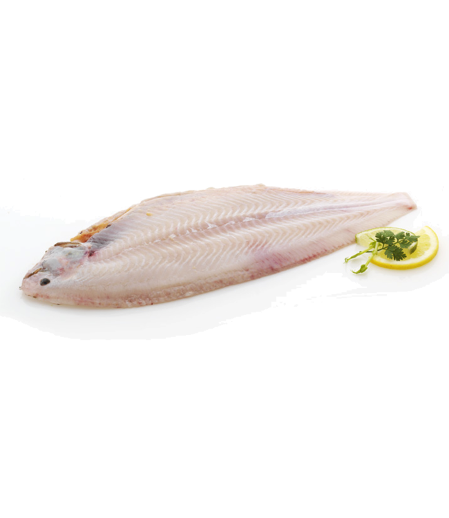 Sliptong zonder huid