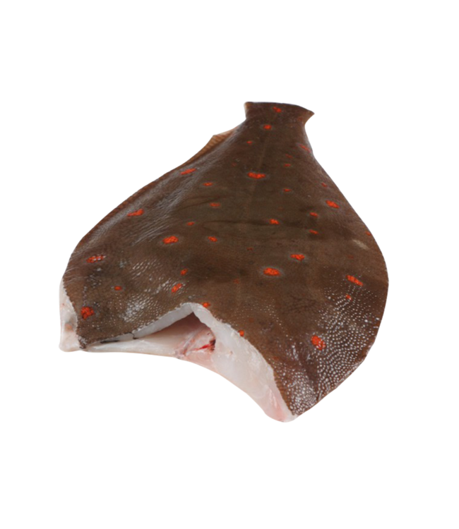 Schol panklaar  280-330 gram