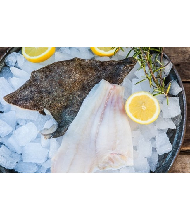 Tarbot filet  350 gram