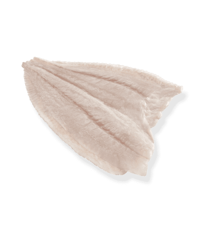 Tarbot filet  350 gram