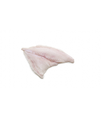 Tarbot filet
