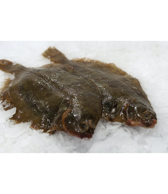 Tongschar zonder huid