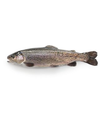Forel heel
