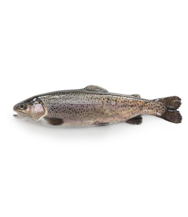 Forel heel en schoongemaakt 300-350 gram