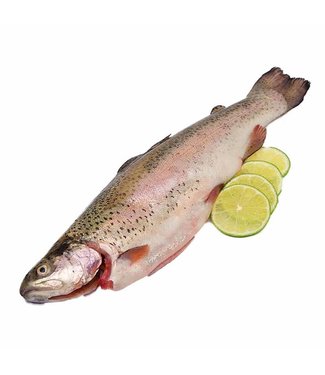 Zalmforel heel 1,2 kg