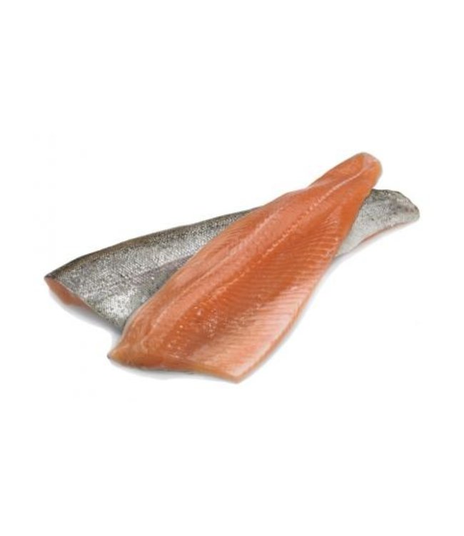 Zalmforel filet met huid