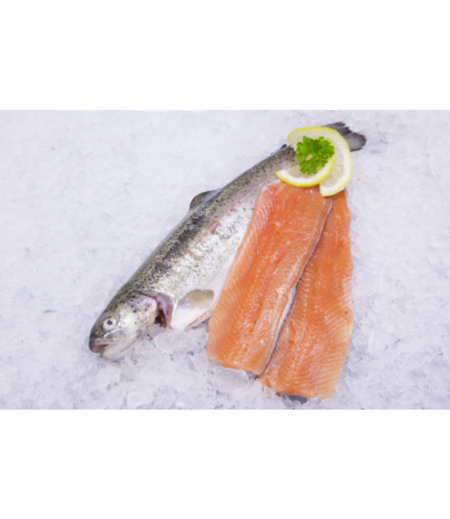 Zalmforel filet met huid