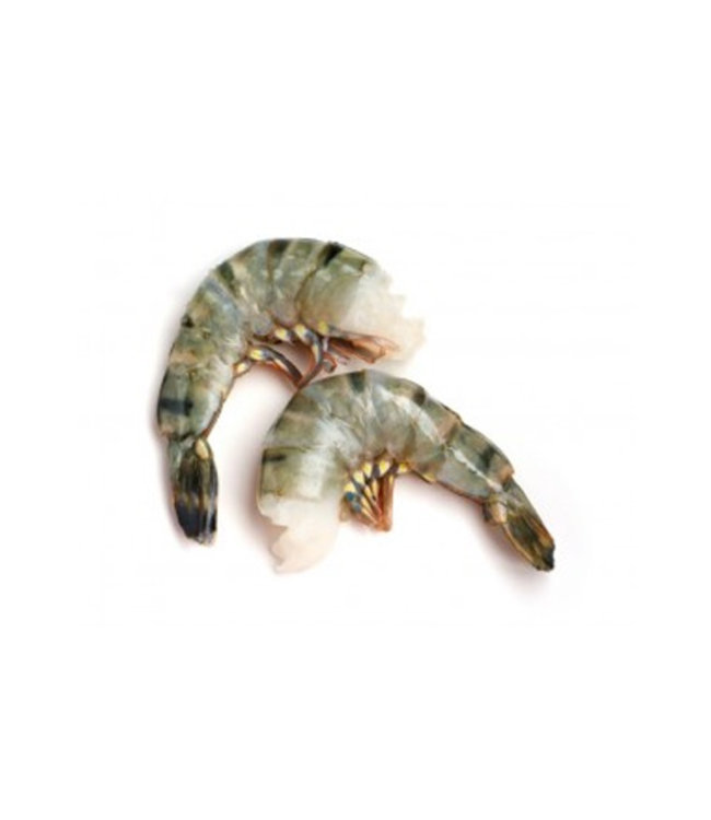 Gamba Black Tiger met schel zonder kop