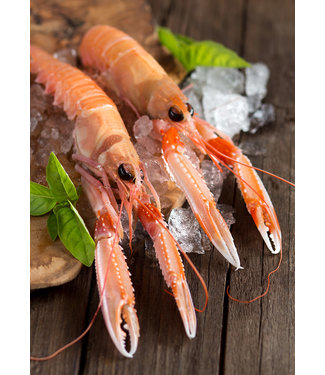 Langoustine (Noorse kreeft)