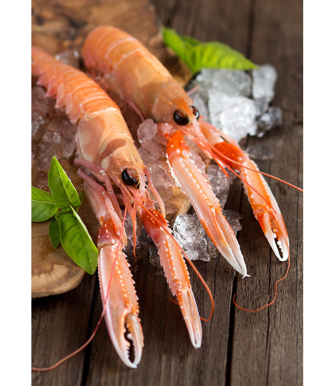 Noordzee Langoustines Premium