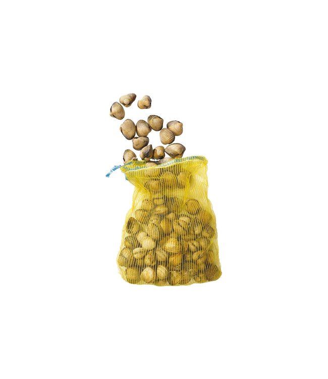 Kokkels  in netje( 1 kg. )