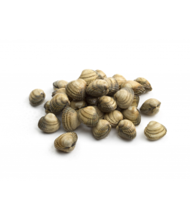 Kokkels  in netje( 1 kg. )