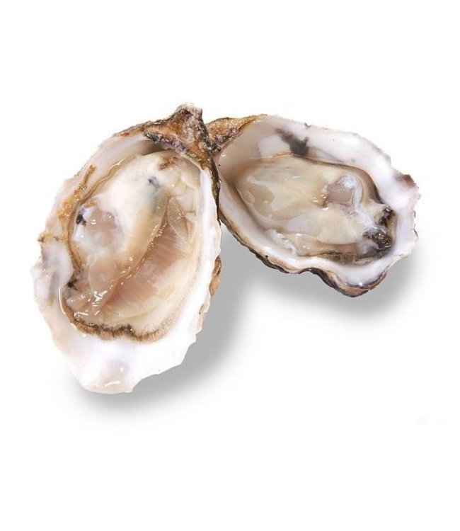 Franse oesters (Fines de Normandie)