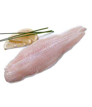 Pangasius filets Witvis  1 kg verpakking