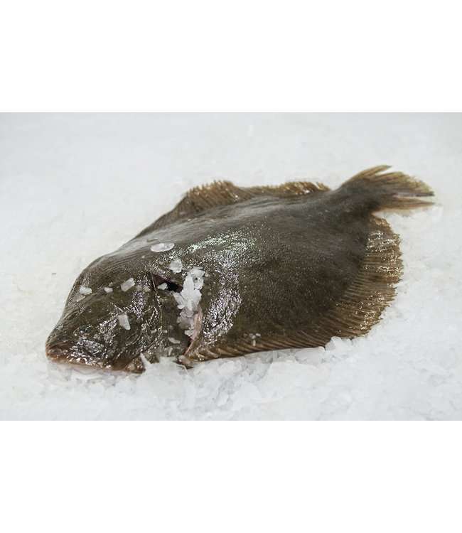 Griet Heel  schoongemaakt  zonder kop